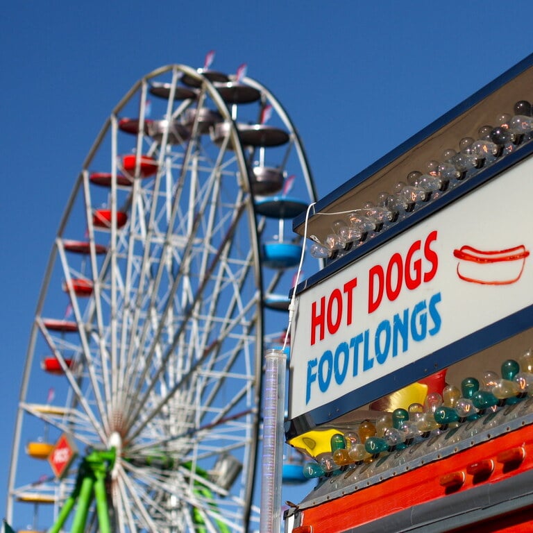 Arizona State Fair 2010