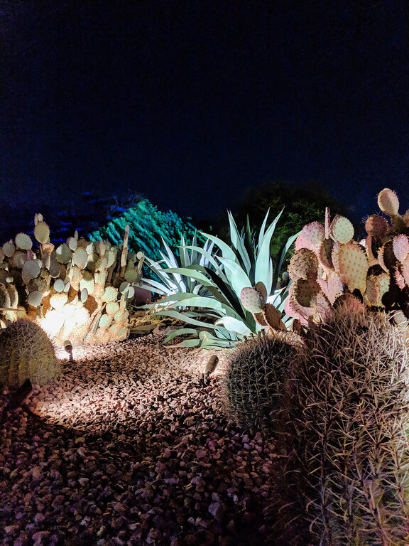 Las Noches de las Luminarias