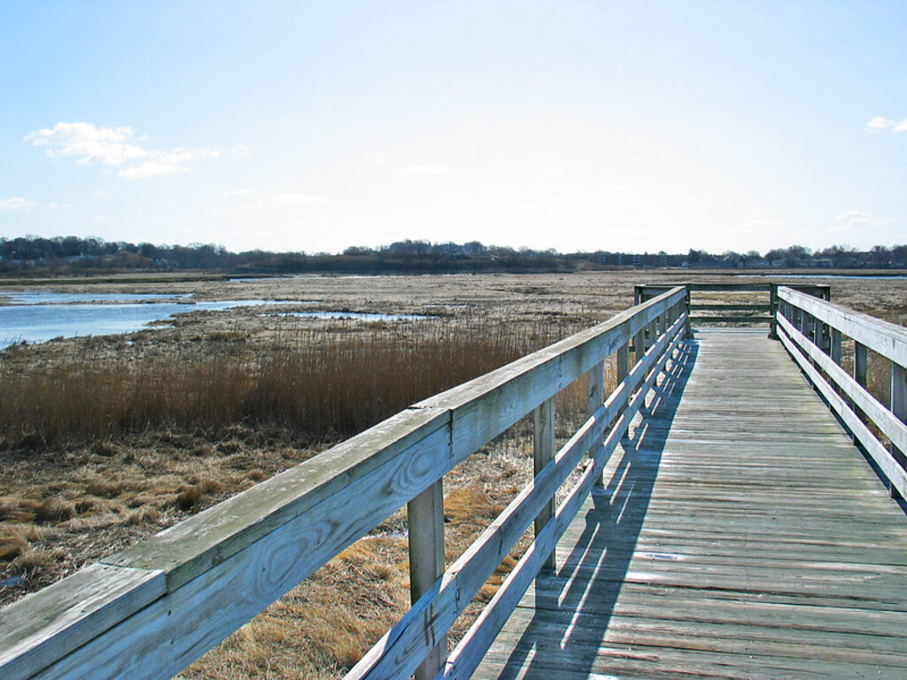 Belle Isle Marsh 