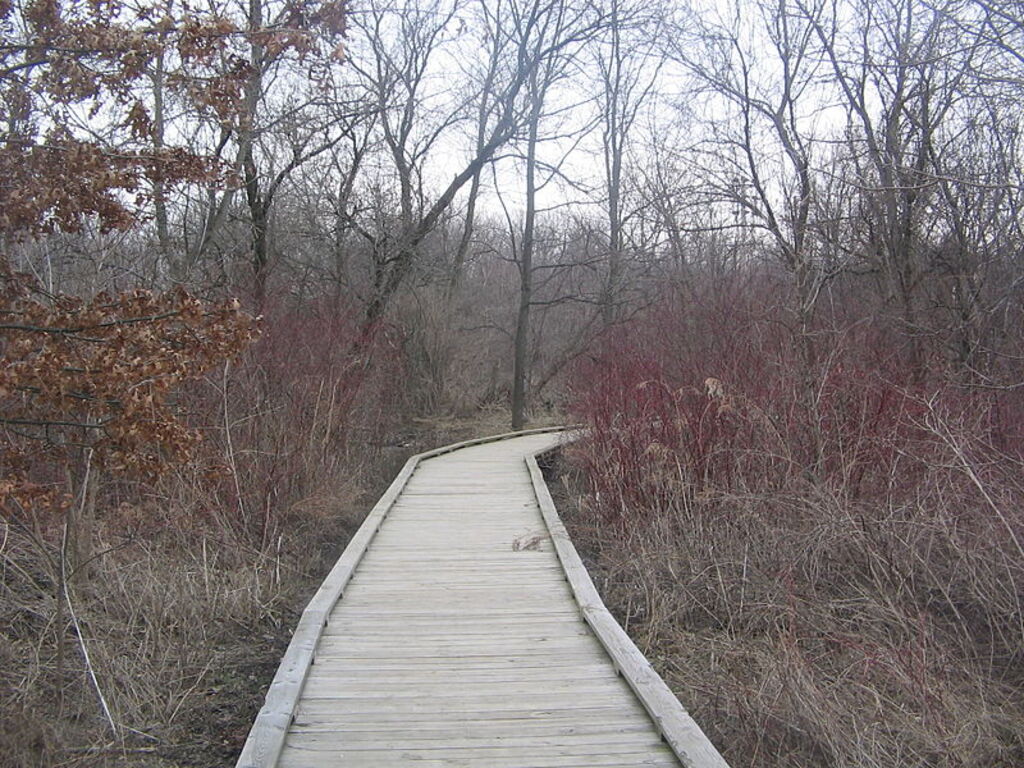 Millbrook Marsh Nature Center