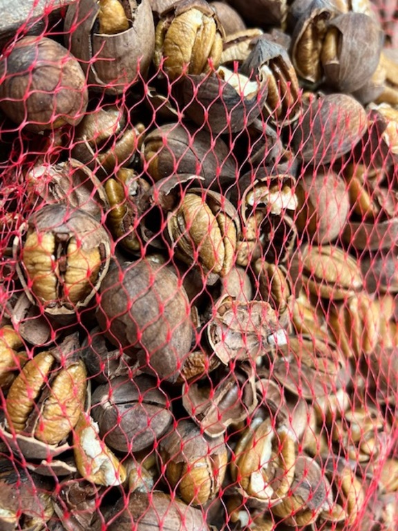 Pecans at Little Eva Pecan Company
