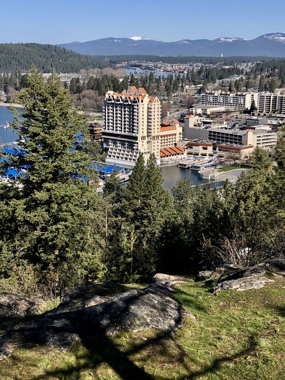 Coeur d'alene