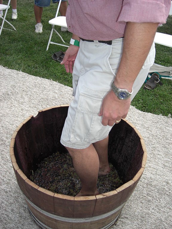 Grape Stomping Colorado Mountain Winefest