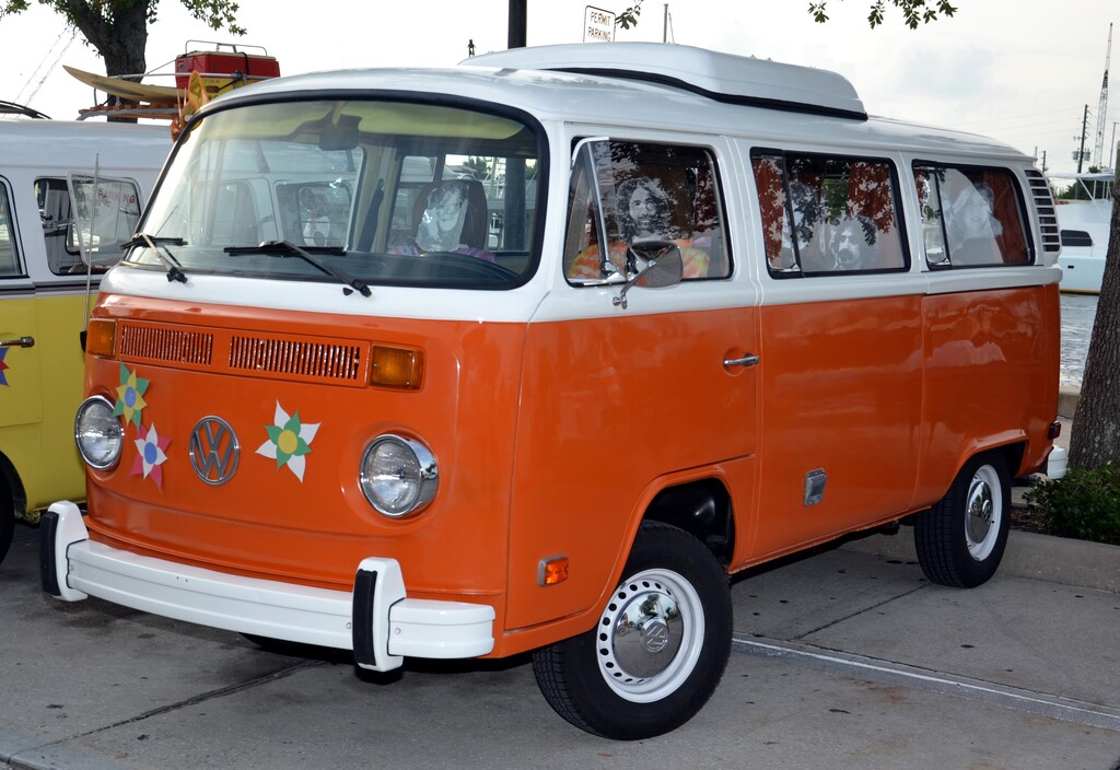 Hippie Fest (14939527481)