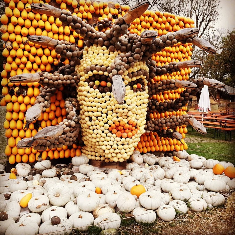 festivals in germany | ludwigsburg pumpkin festival, ludwigsburg