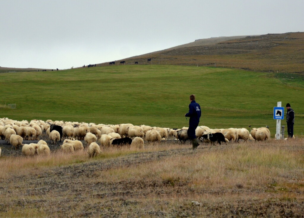 Rettir at Varmahlid