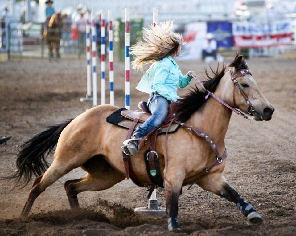 Rodeo