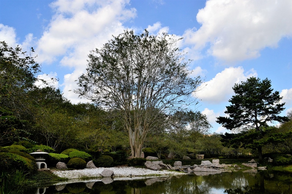 Japanese Garden