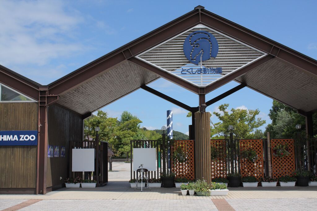 things to do in tokushima | enjoy a fun family day in tokushima zoo