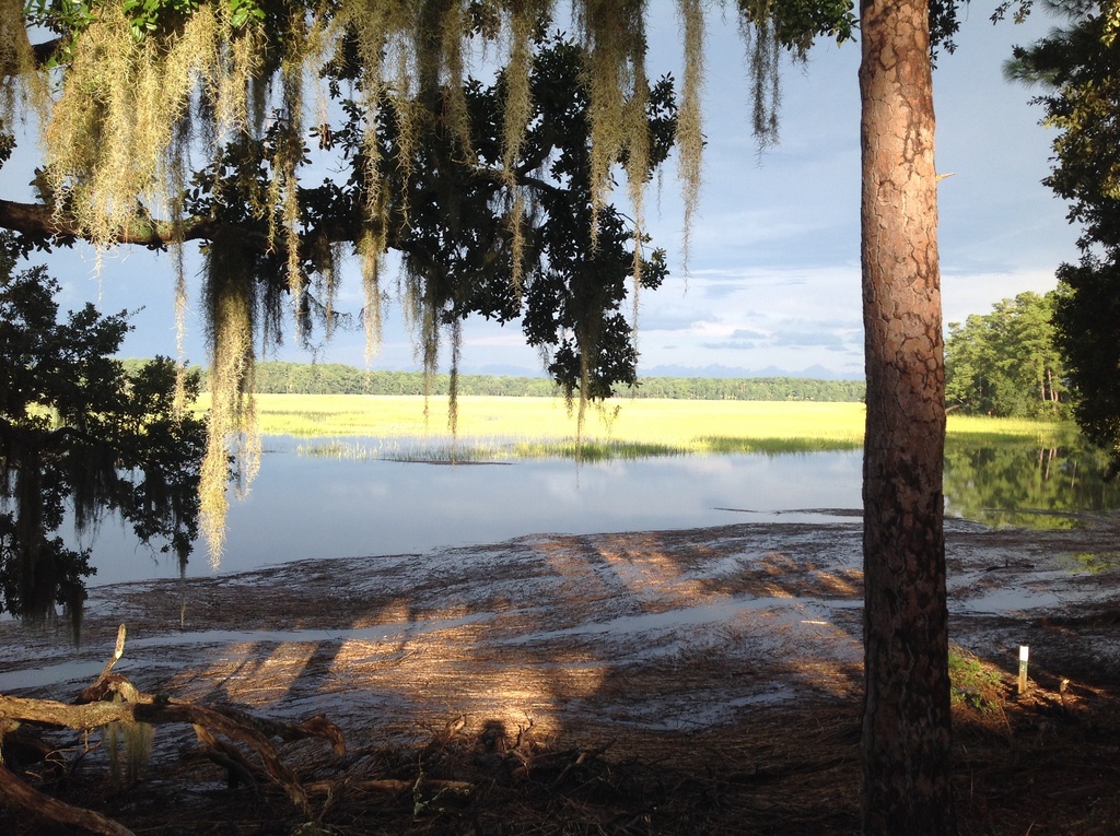 10 Things To Do In Hardeeville, South Carolina Trip101