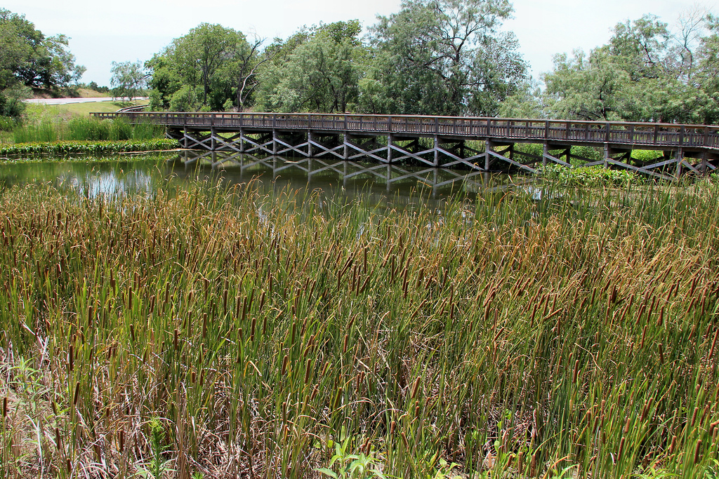 Cedar hill state park perch pond