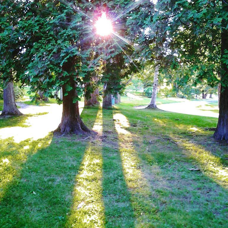 things to do in belfast me | spend some family-bonding time at belfast city park