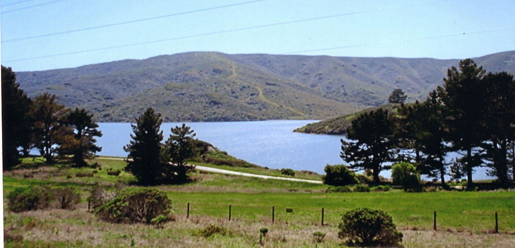 Best Things To Do In Millbrae, California