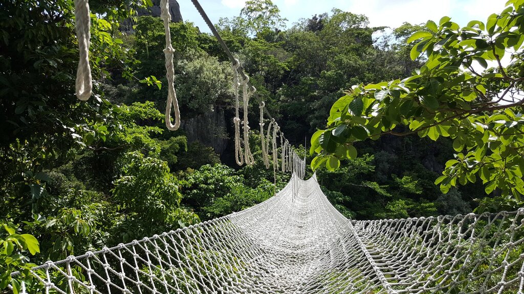 A white net canopy bridge at Masungi Georeserve.
