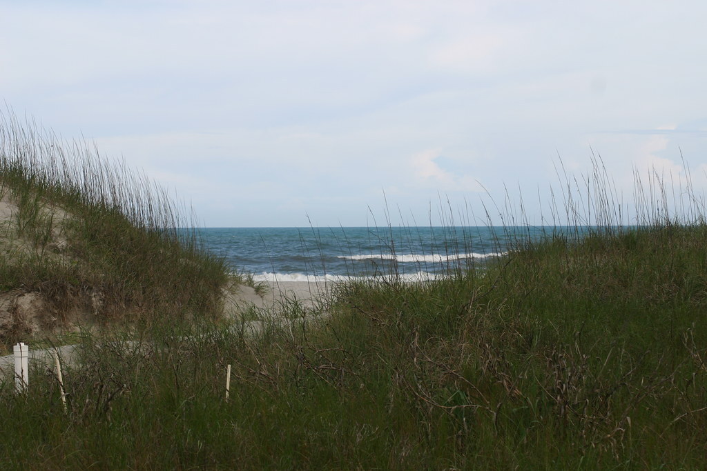 Bear Island - Hammocks Beach State Park, NC