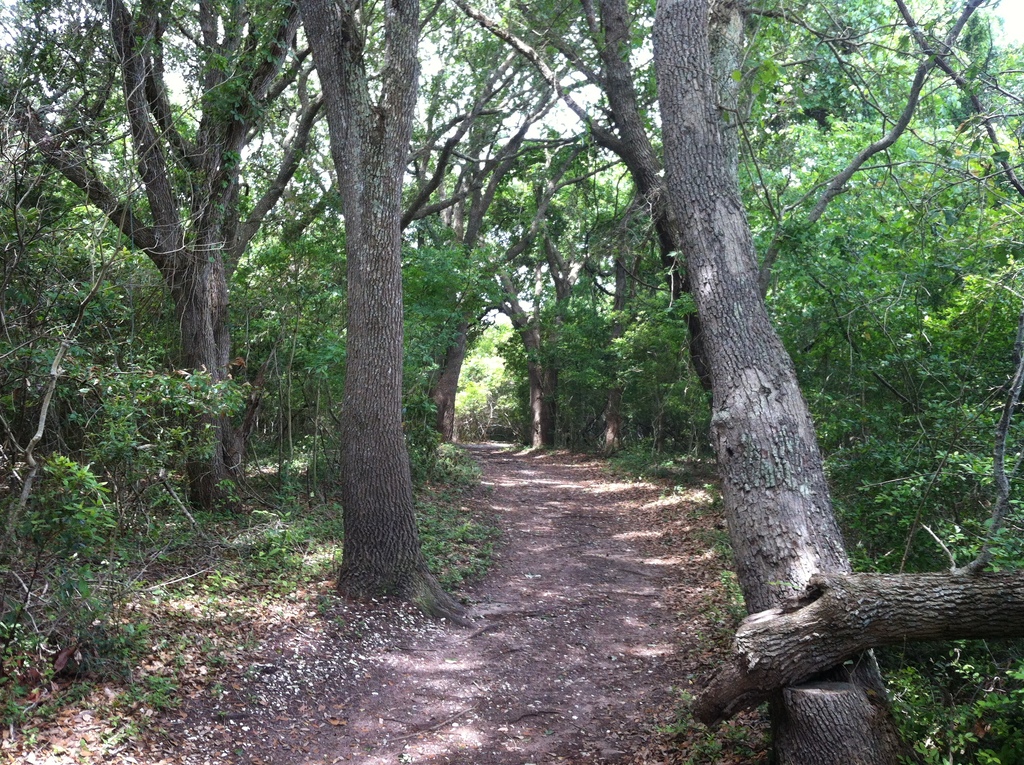 Hammocks Beach State Park Trail June 2014 - panoramio
