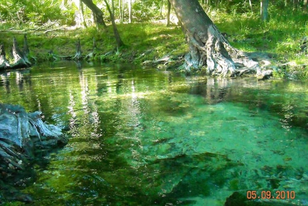 10 Best Airbnb Vacation Rentals In Chiefland, Florida Updated 2024