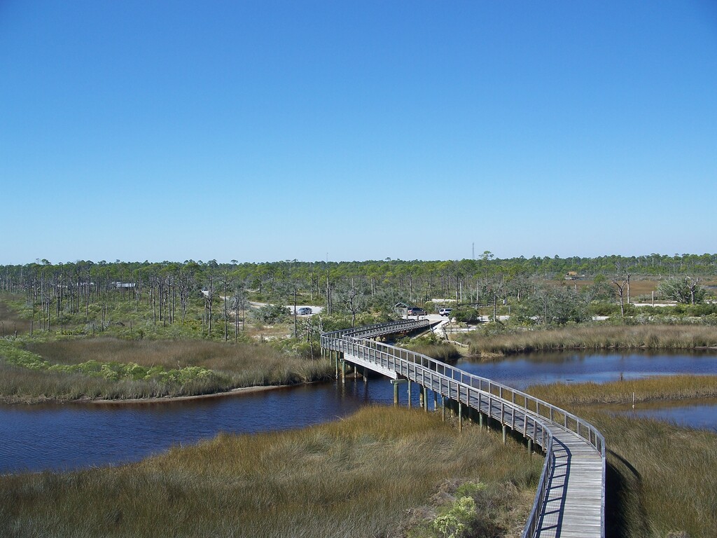 Pensacola FL Big Lagoon SP from obs tower06