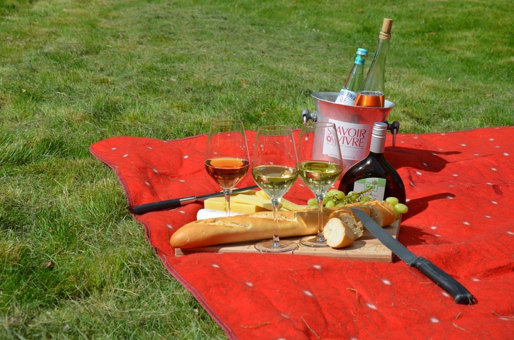 Picnic at Village Green Park