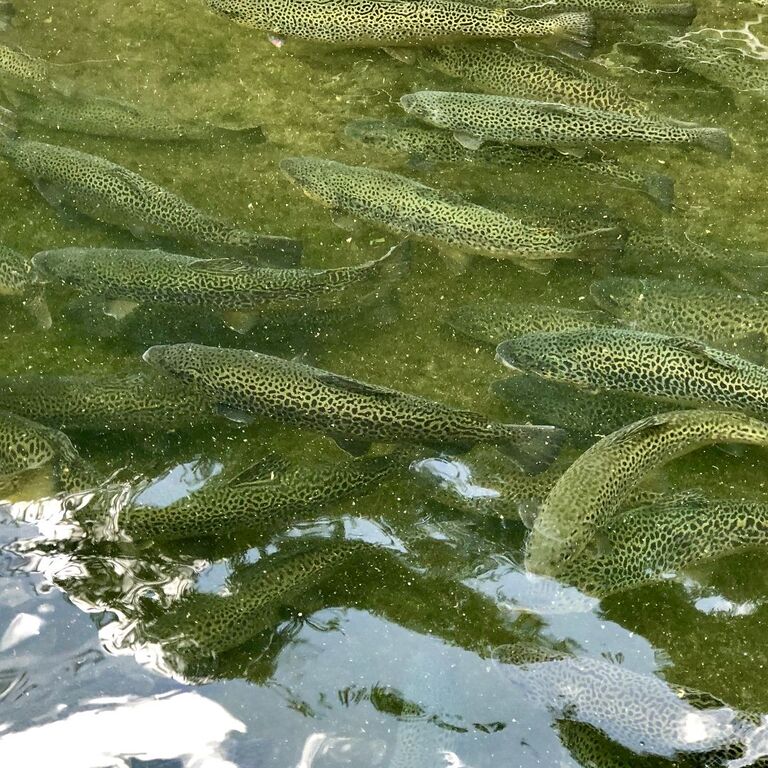 Top 19 Things To Do In Cumming, Trip101