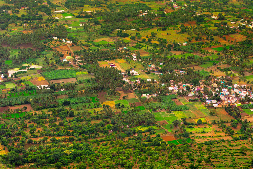 Landscape From Yelagiri Hill Top