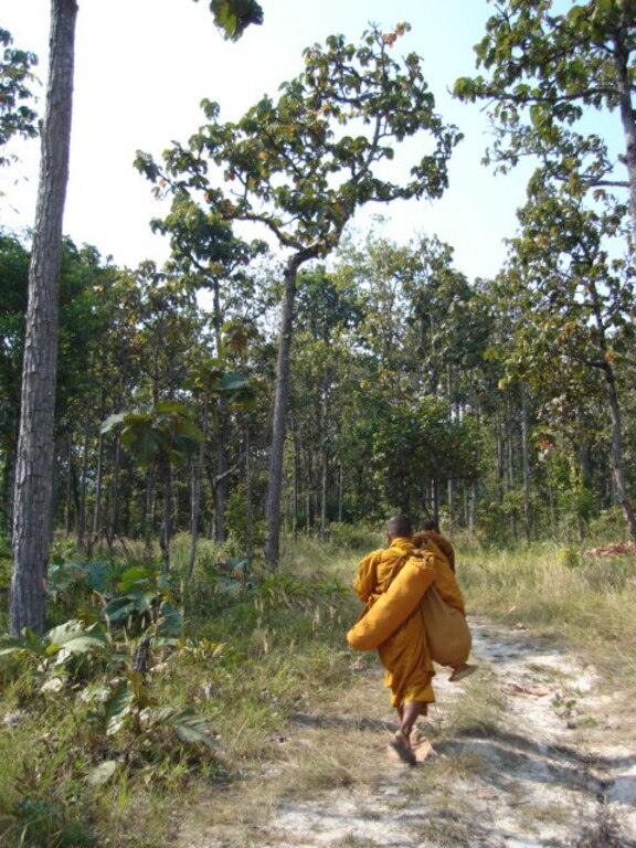 Pu pan