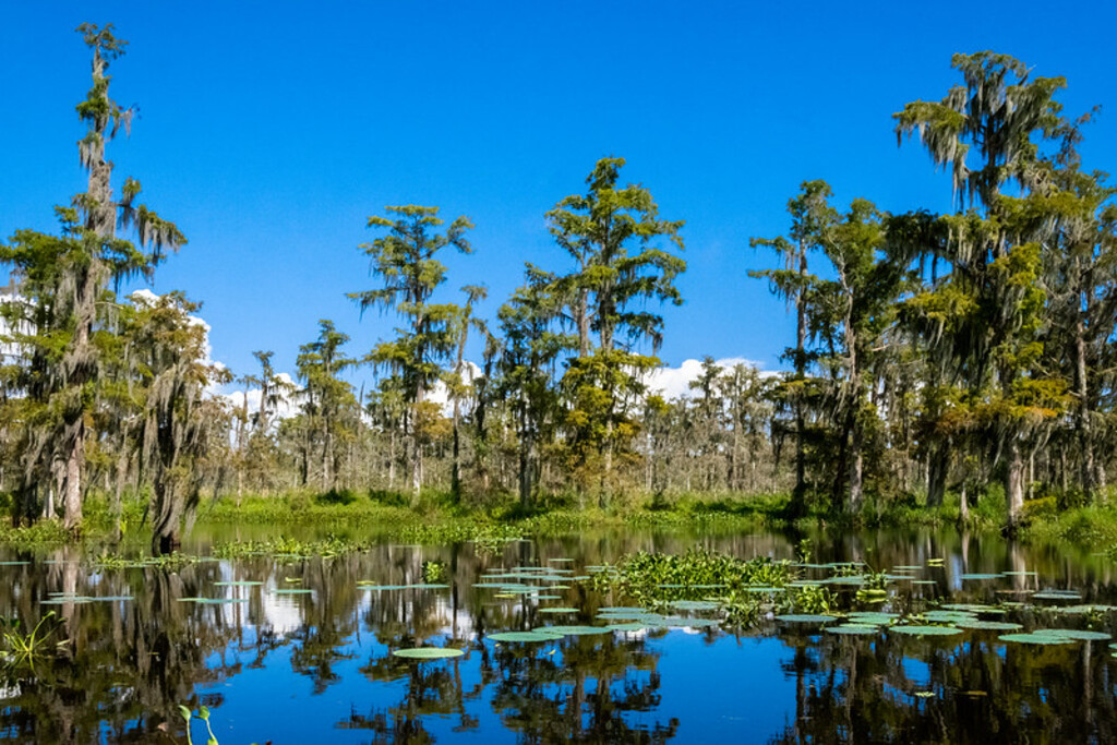 Mandalay National Wildlife Refuge, Houma, Louisiana, USA