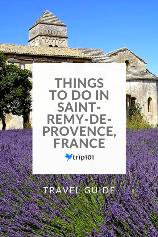 Things To Do In Saint-Remy-de-Provence, France