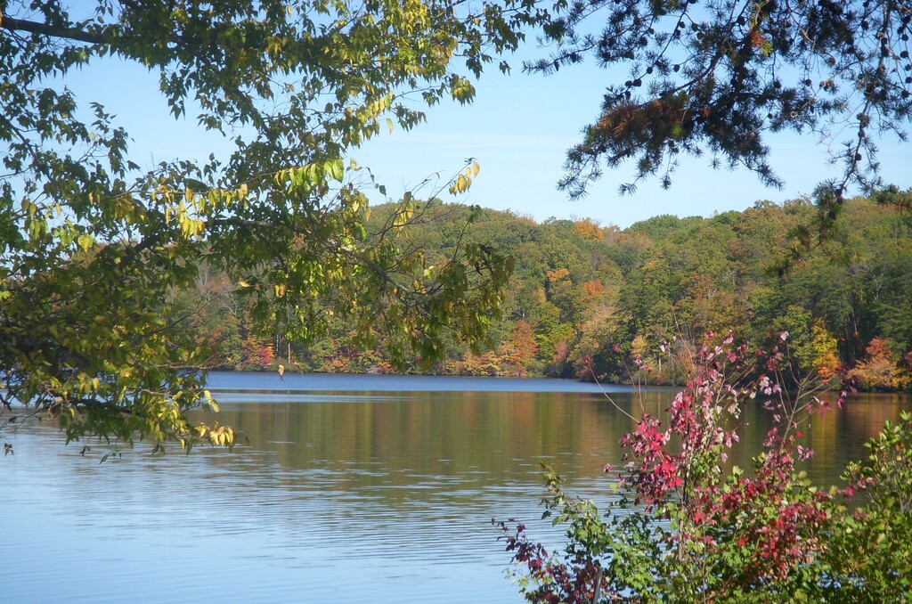 Top 16 Things To Do In Appomattox, Virginia Trip101