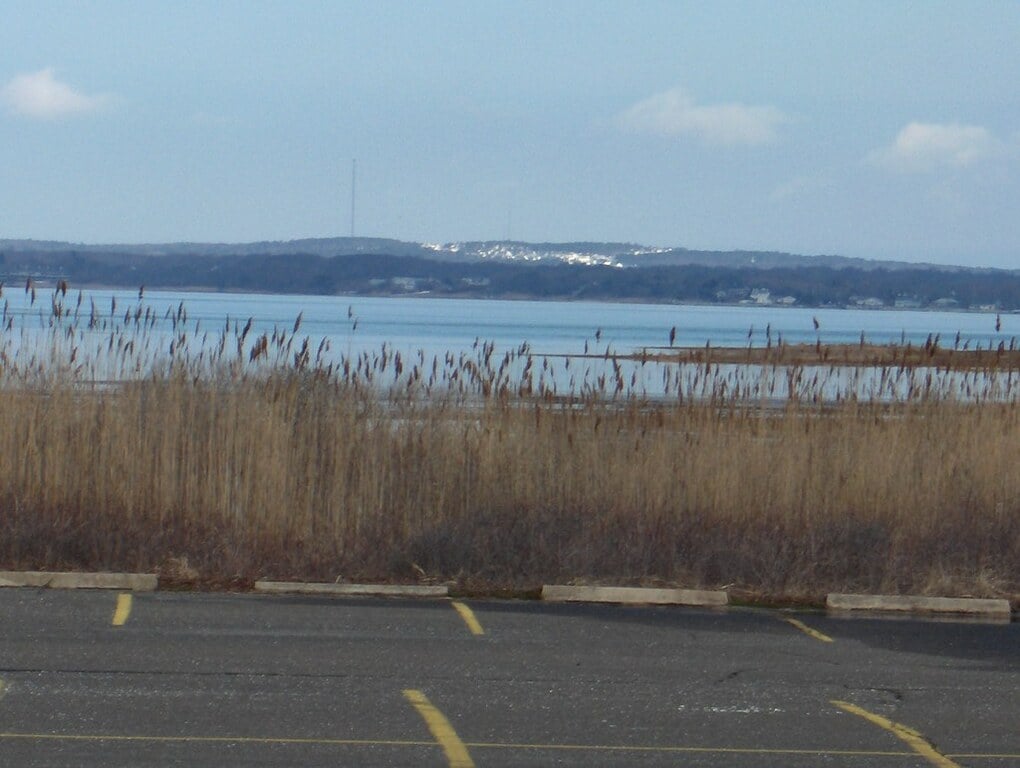 Cupsogue County Park