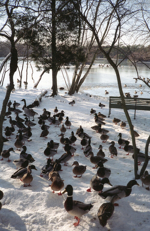 Quogue Wildlife Refuge