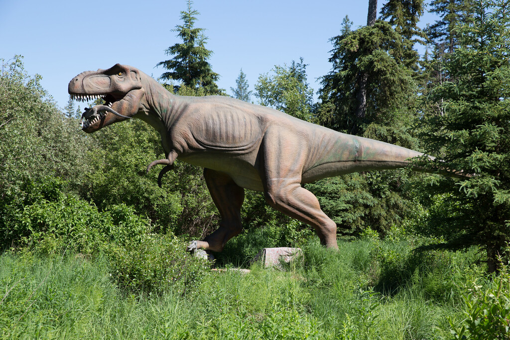 Jurassic Forest