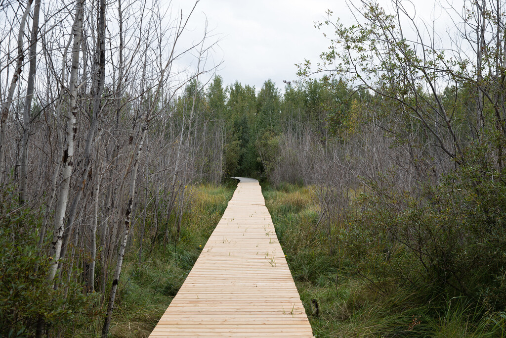 Clifford E. Lee Nature Sanctuary