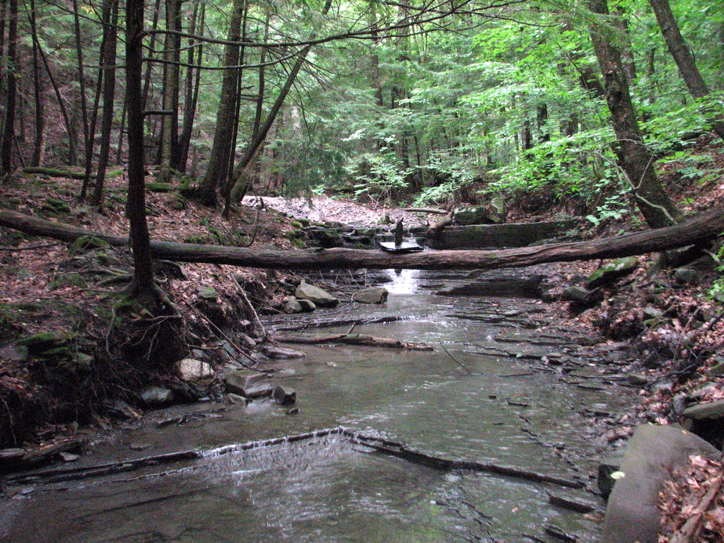 8 Best Things To Do In And Near Gloversville, New York Trip101