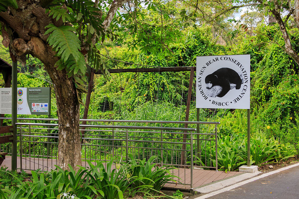 Sepilok Sabah Bornean-Sun-Bear-Conservation-Centre
