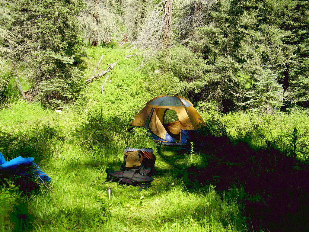 Secret tent by the singing creek