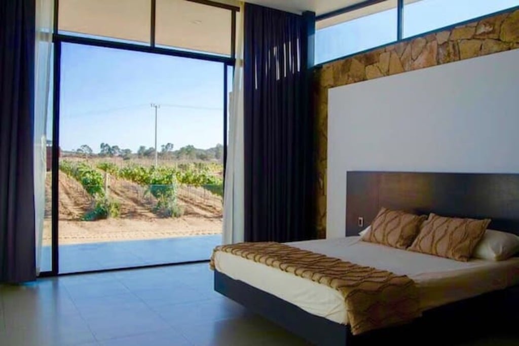 sleek and modern house in a vineyard