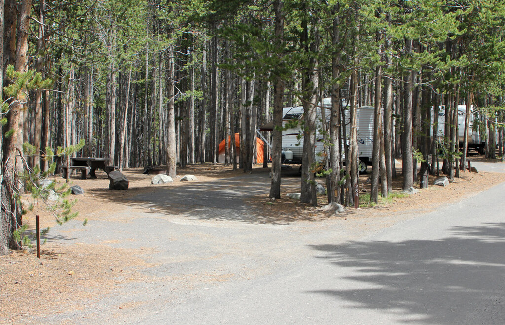 Canyon Campground site
