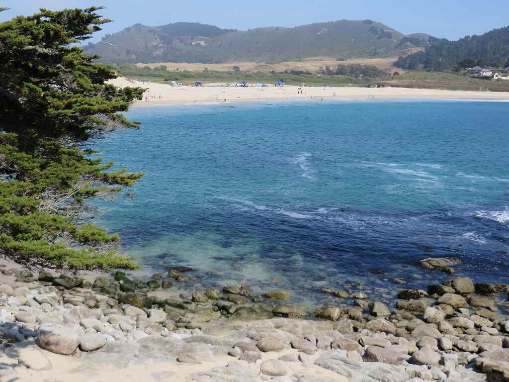Carmel River State Beach