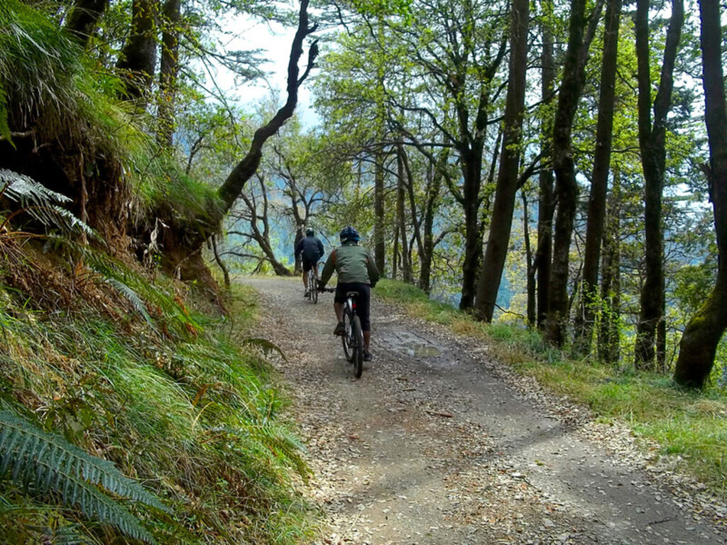 Cycling in the greens