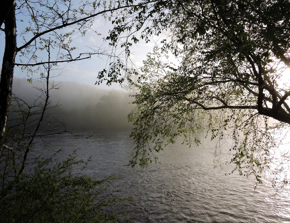 French Broad River, Asheville, NC