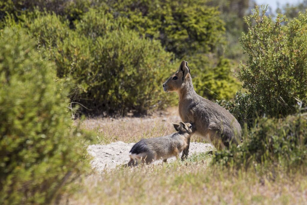 Sendero de flora y fauna