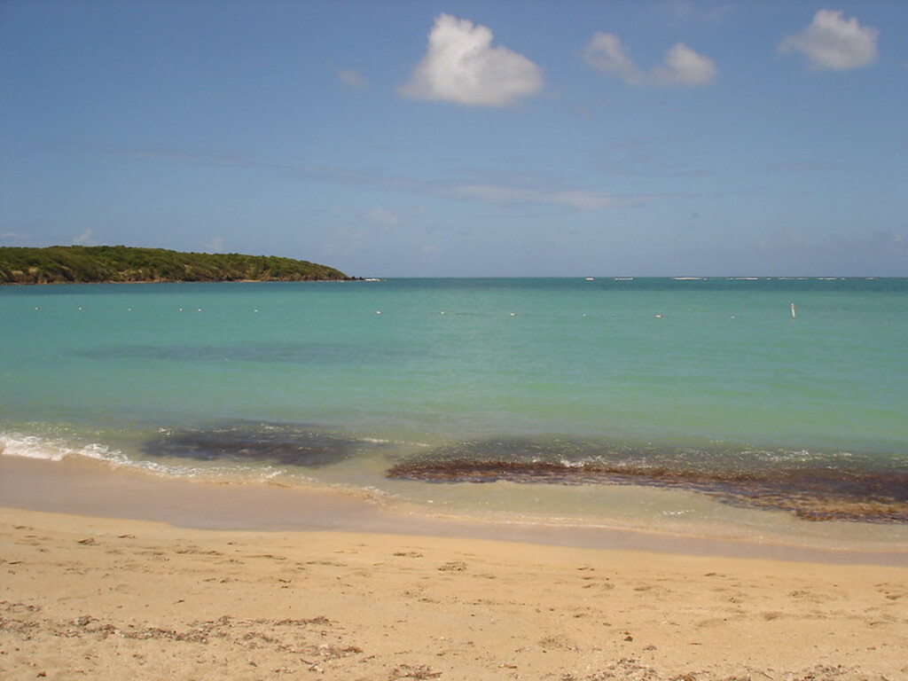 Seven Seas Beach