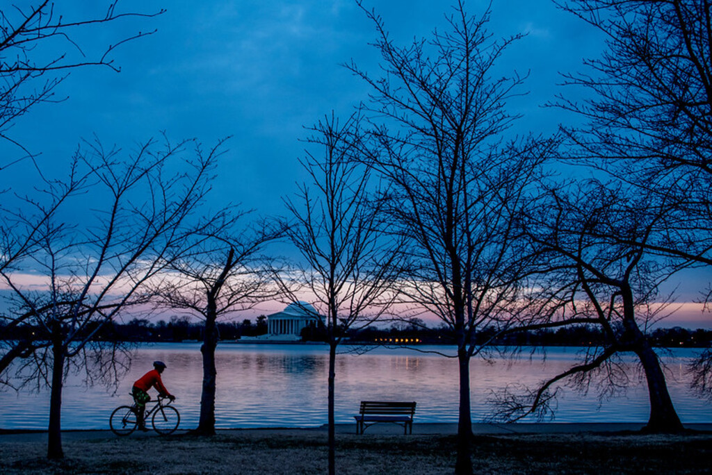 Tidal Basin