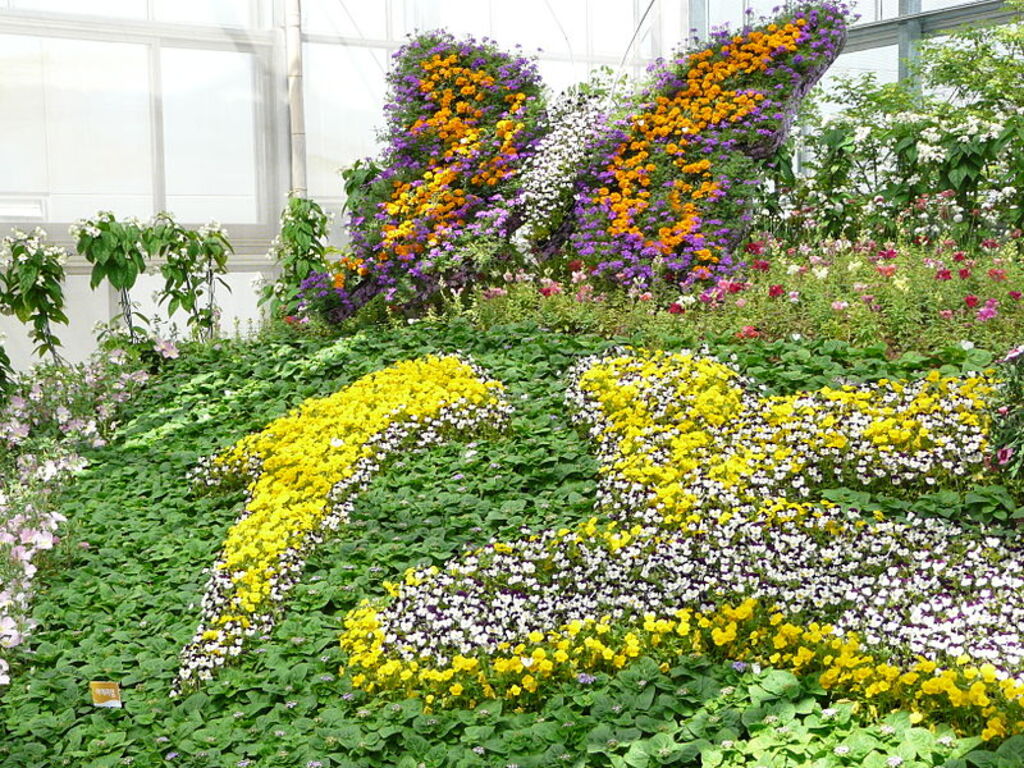 Hampyeong butterfly festival 160