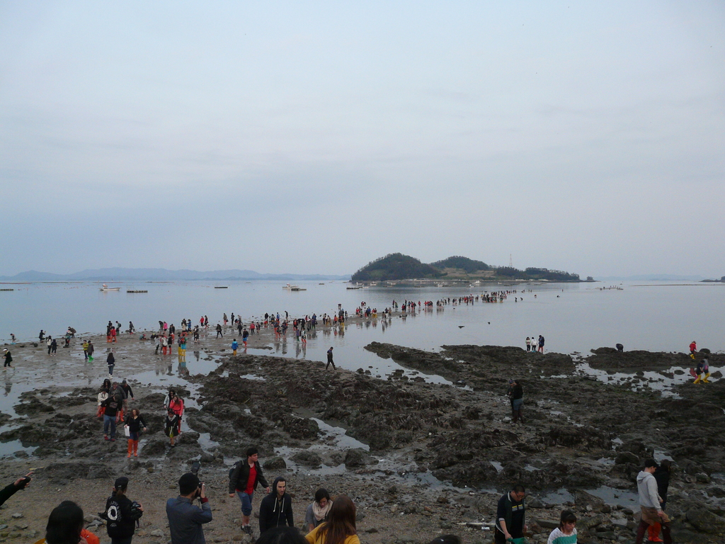 Jindo Miracle Sea Road Festival 100