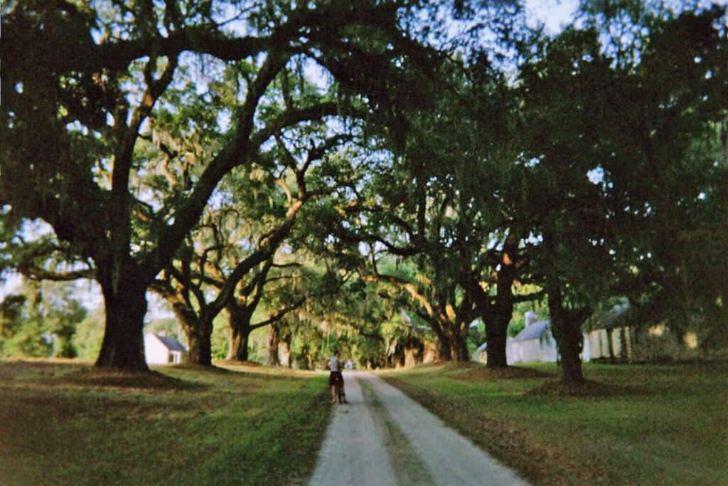 Mansfield Plantation