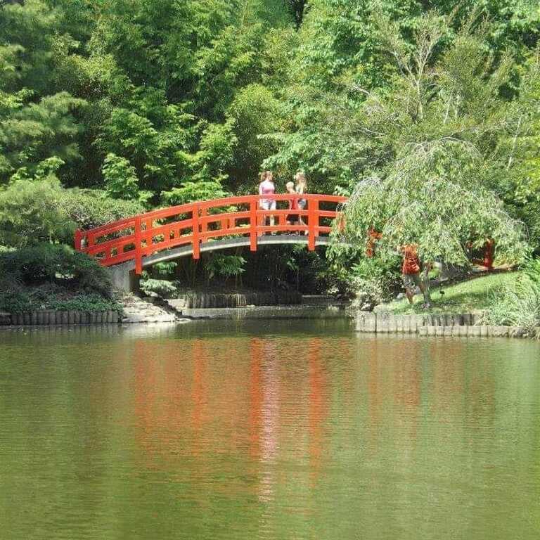 things to do at night in raleigh nc | unwind at the duke gardens