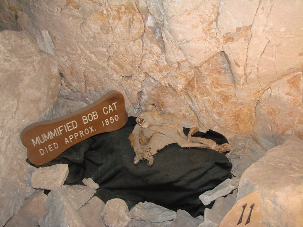 In the Grand Canyon Cavern