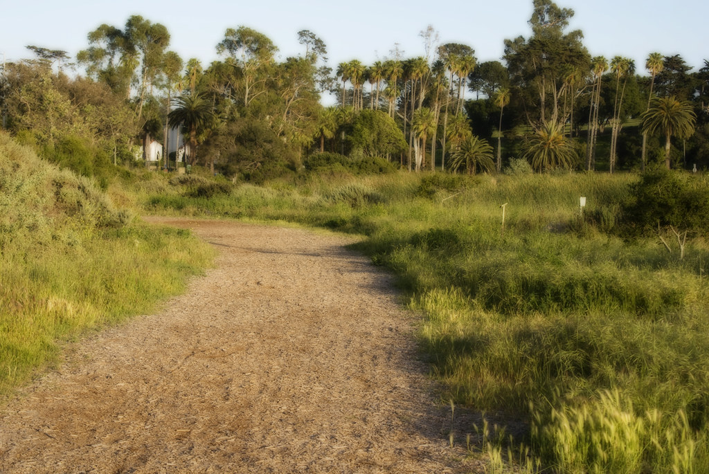 The Path Ahead